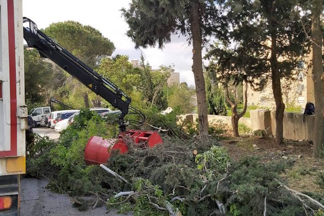 התמודדות עם מזג אוויר חורפי בירושלים