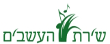 דשא סינטטי מומלץ